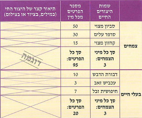 (בספר תמונה:) דוכיפת - הציפור הלאומית של ישראל
